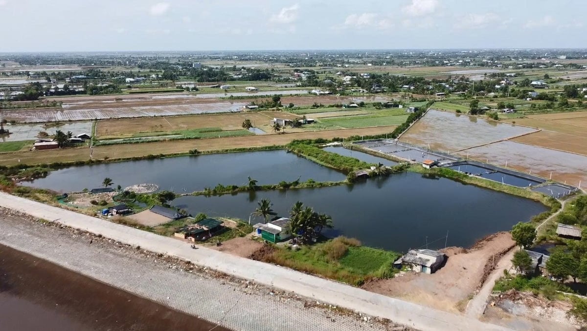 'Vạn lý đường kênh' hồi sinh đồng bằng sông Cửu Long